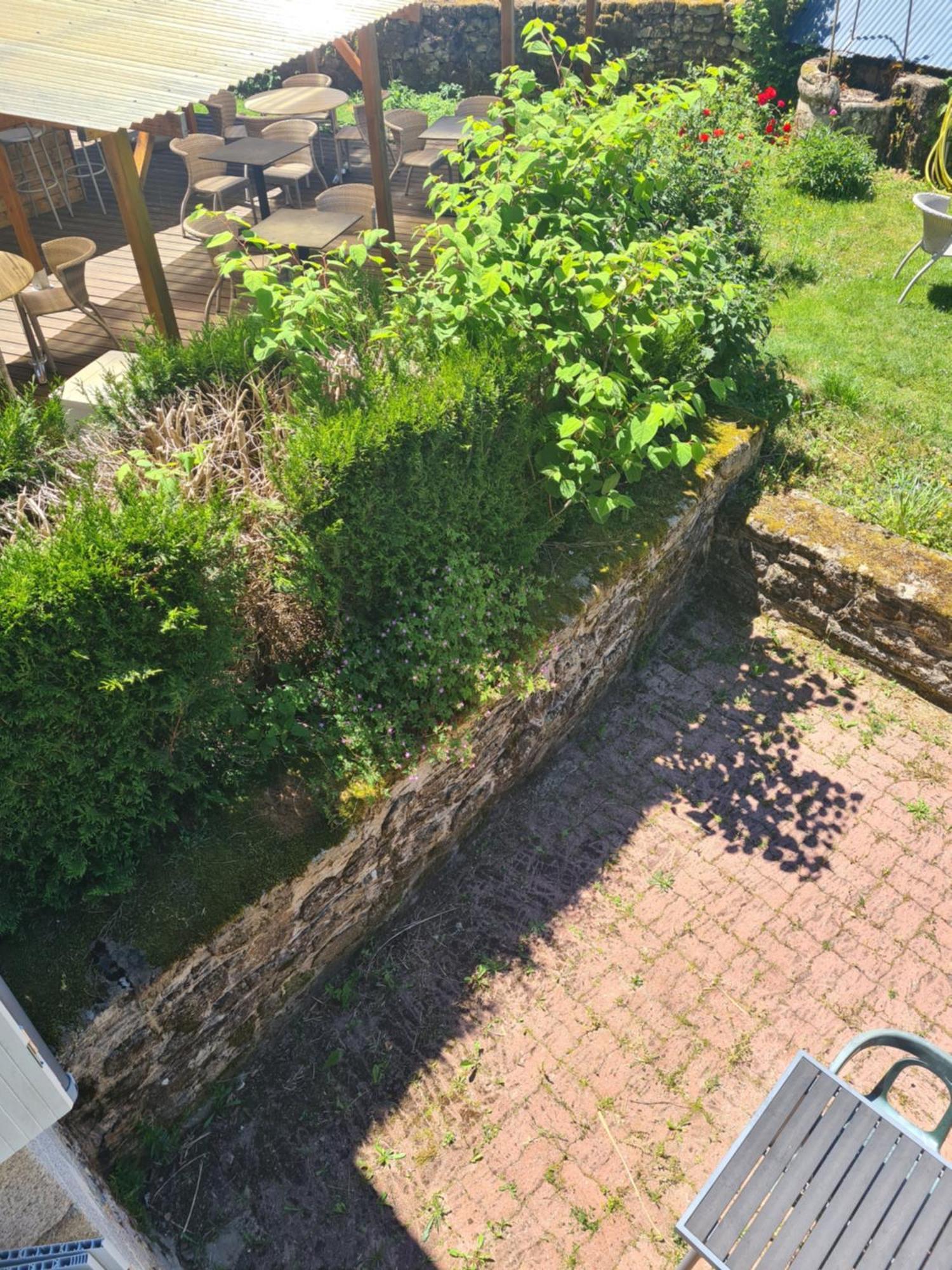 Hotel Saint Julien Aux Bois エクステリア 写真